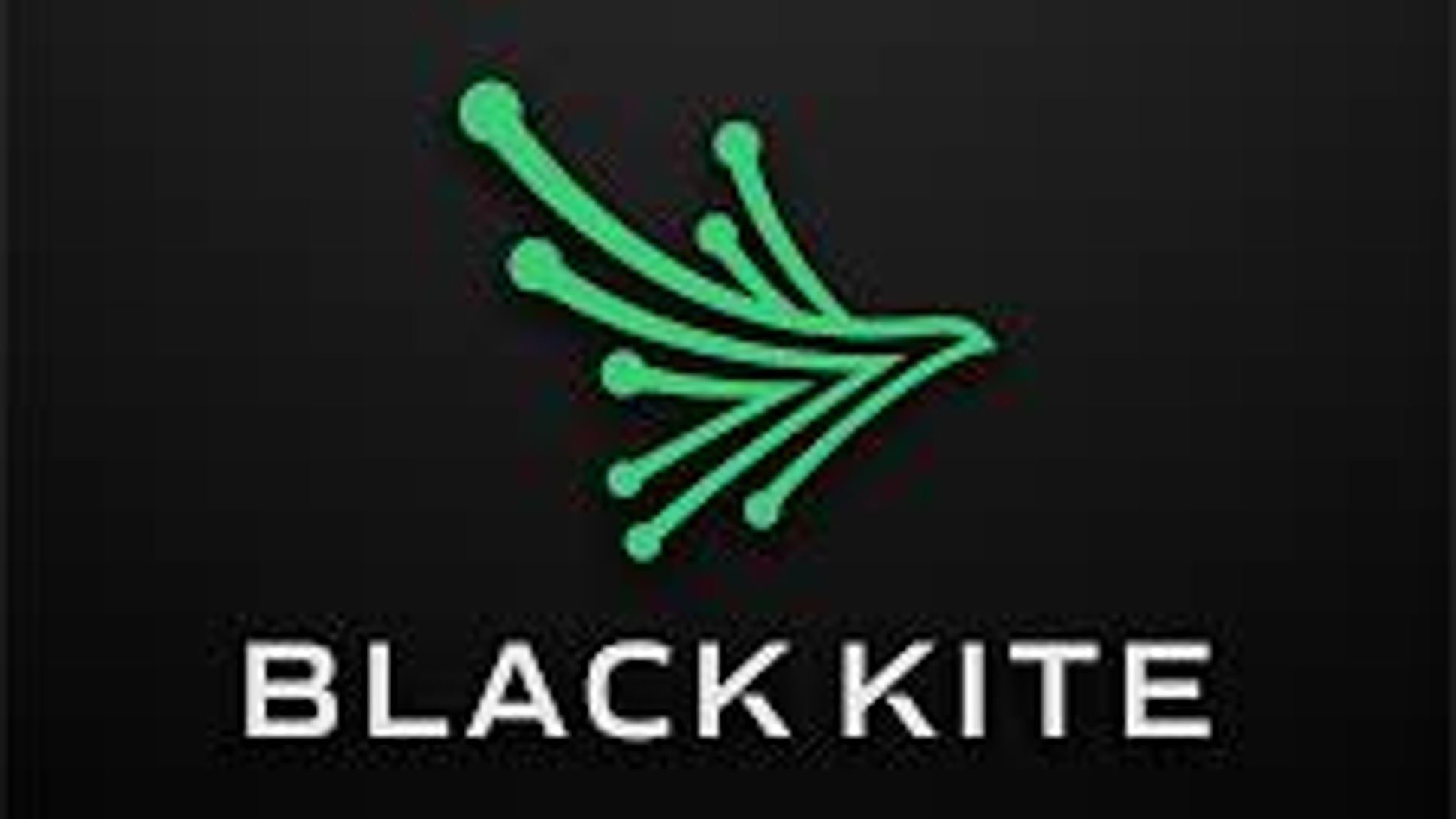 Black Kite Overview